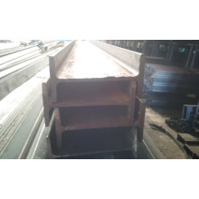 IPE  DE 6 METROS DE LONGITUD